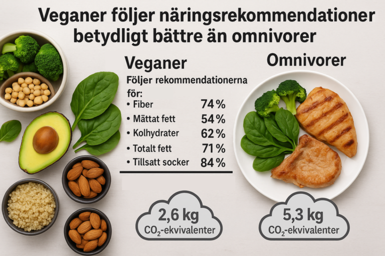 Infografik som visar att veganer följer näringsrekommendationerna betydligt bättre än omnivorer. Visar växtbaserad mat till vänster och kött med grönsaker till höger, med statistik över fiber, mättat fett, kolhydrater, totalt fett och tillsatt socker samt klimatpåverkan.